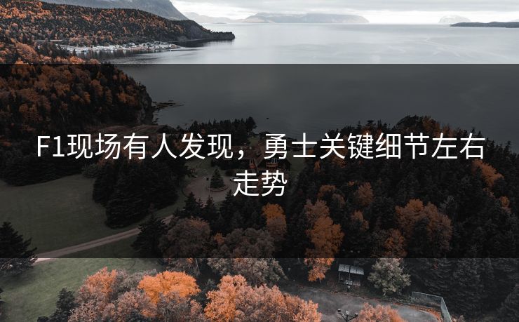F1现场有人发现，勇士关键细节左右走势